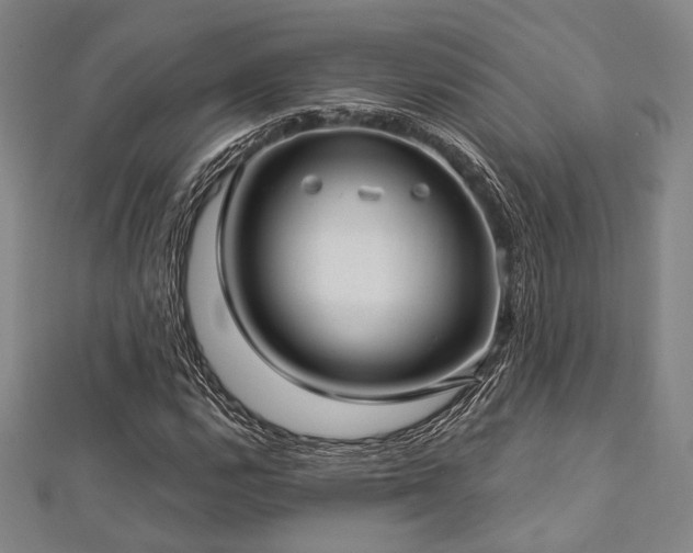 X0000112721112200908201242