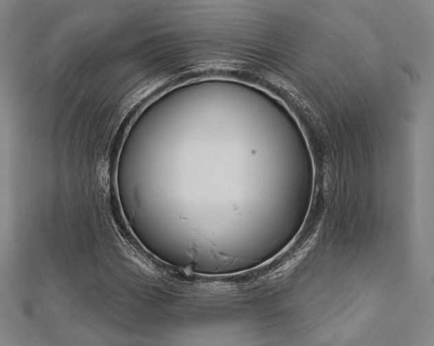 X0000112721113200908201242