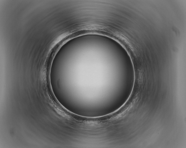 X0000112721114200908201242