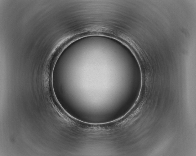 X0000112721115200908201242
