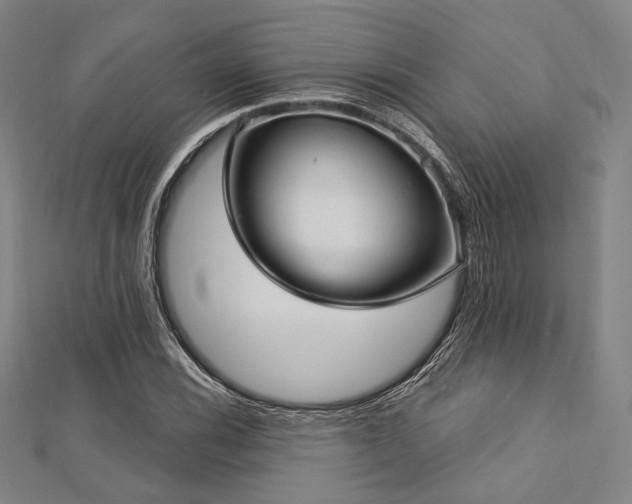 X0000112721116200908201242