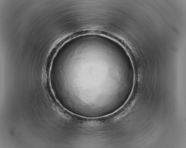 X0000112721117200908201242