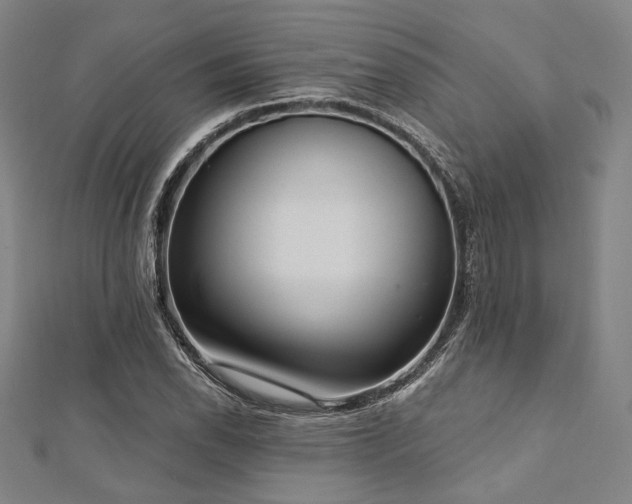 X0000112721118200908201242