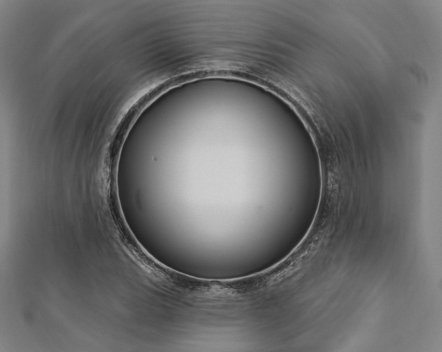 X0000112721119200908201242