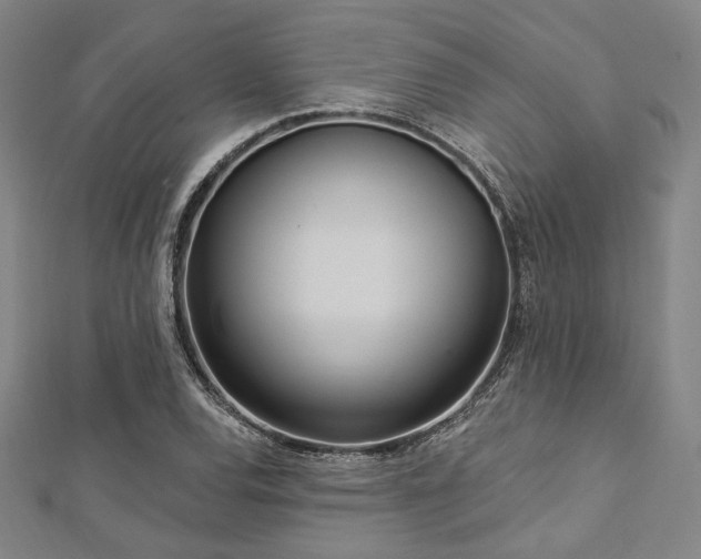 X0000112721120200908201242