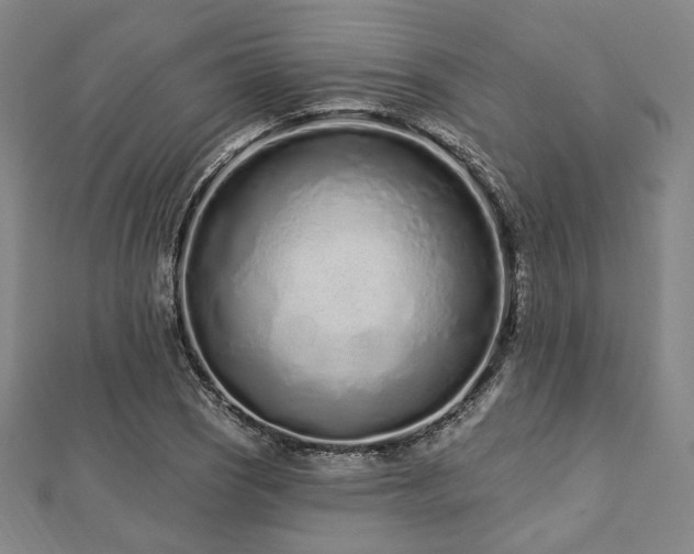 X0000112721121200908201242