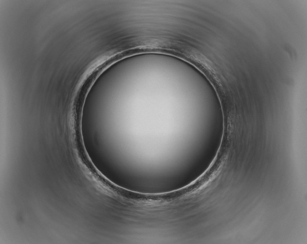 X0000112721122200908201242
