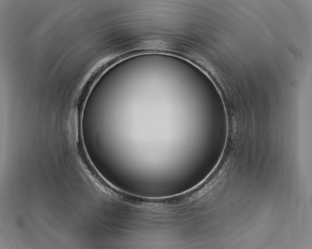 X0000112721123200908201242