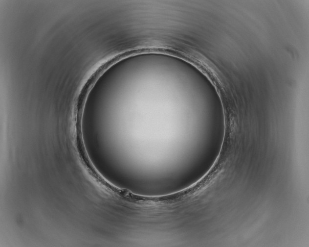 X0000112721124200908201242
