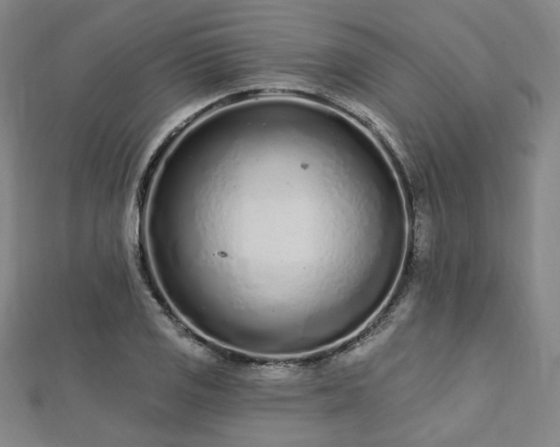 X0000112721125200908201242