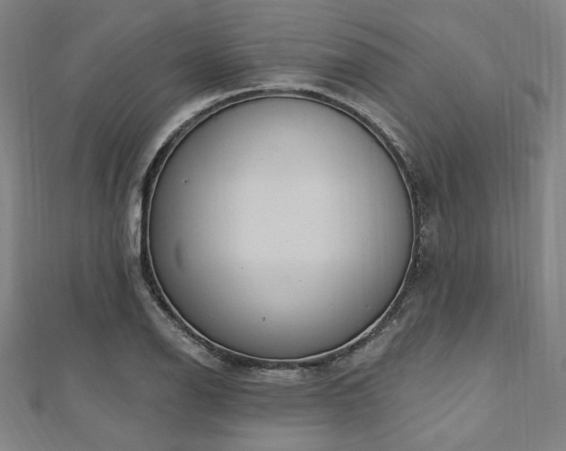 X0000112721126200908201242