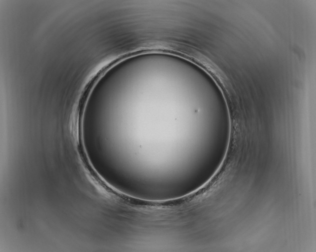 X0000112721127200908201242