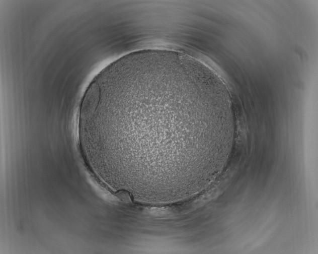 X0000112721128200908201242