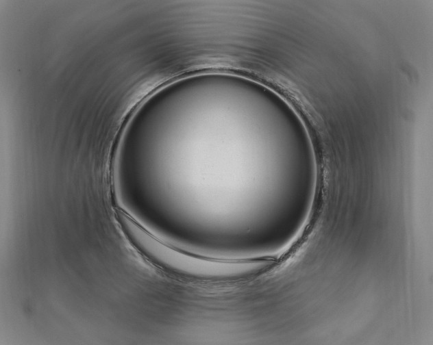 X0000112721129200908201242