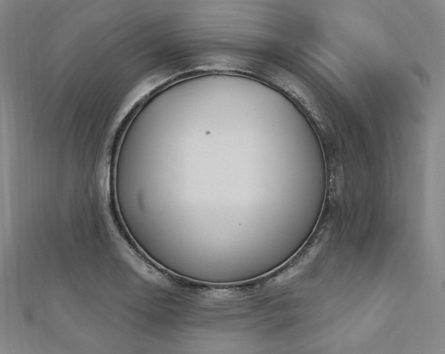 X0000112721130200908201242