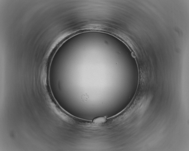 X0000112721131200908201243
