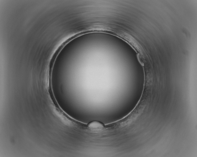X0000112721132200908201243