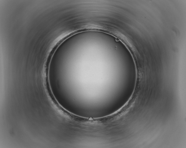 X0000112721133200908201243