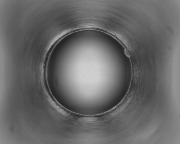 X0000112721134200908201243