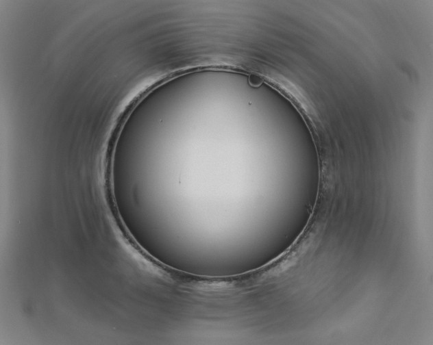 X0000112721135200908201243