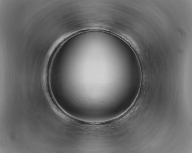X0000112721136200908201243