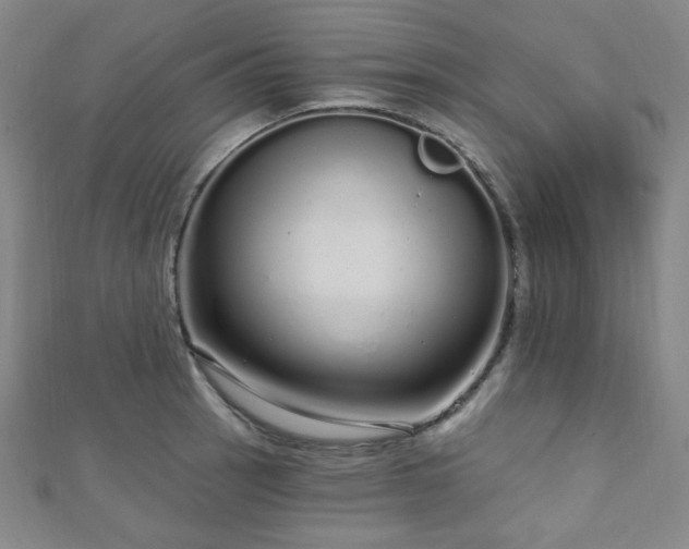 X0000112721137200908201243