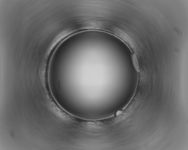 X0000112721138200908201243