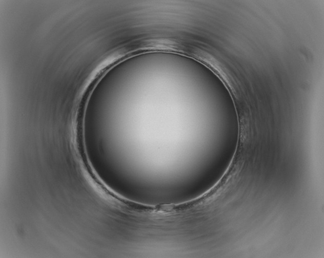 X0000112721139200908201243