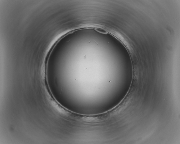 X0000112721140200908201243