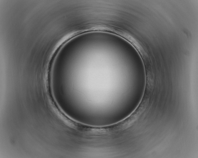 X0000112721142200908201243