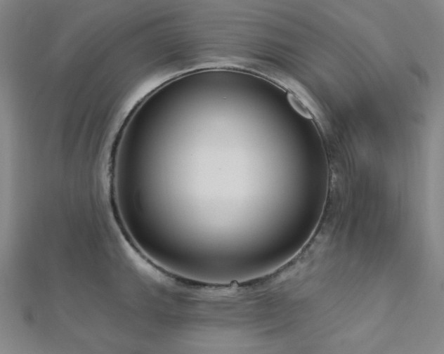 X0000112721143200908201243