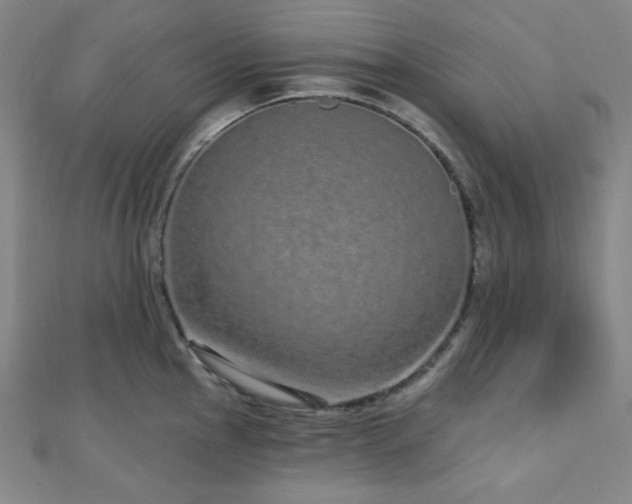 X0000112721145200908201243