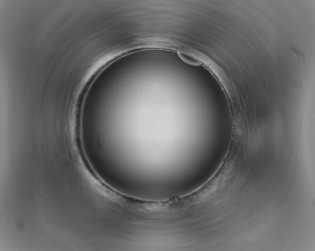 X0000112721147200908201243