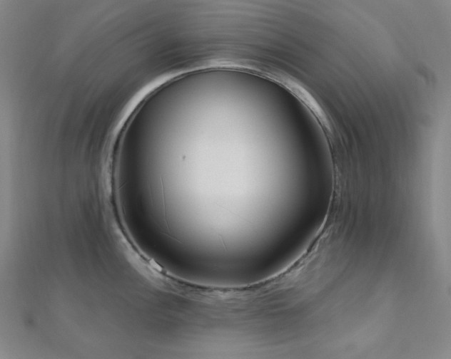 X0000112721148200908201243