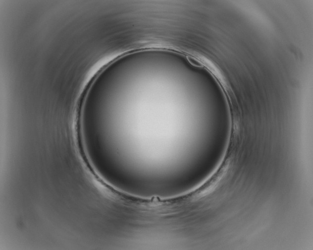 X0000112721149200908201243
