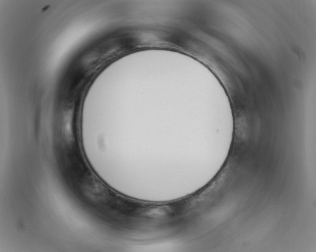 X0000112721150200908201243