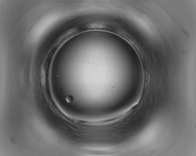 X0000112721151200908201243