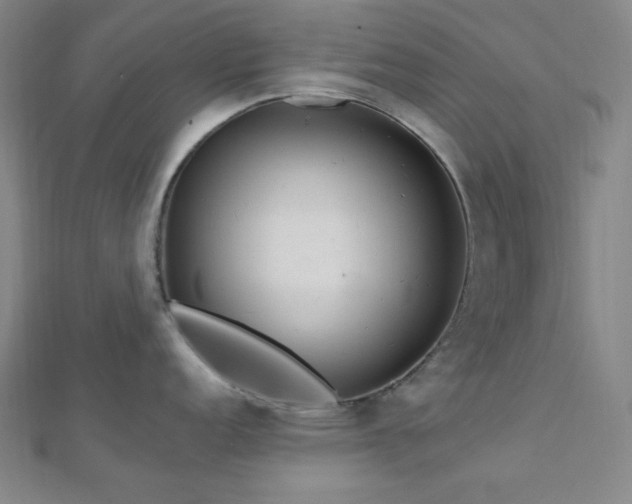 X0000112721152200908201243