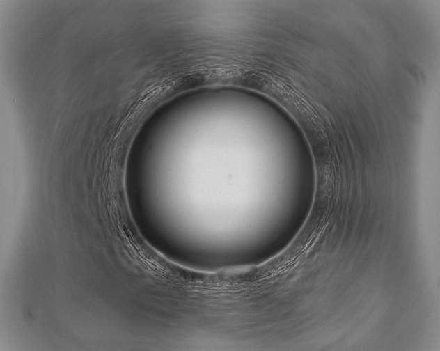 X0000112721153200908201242