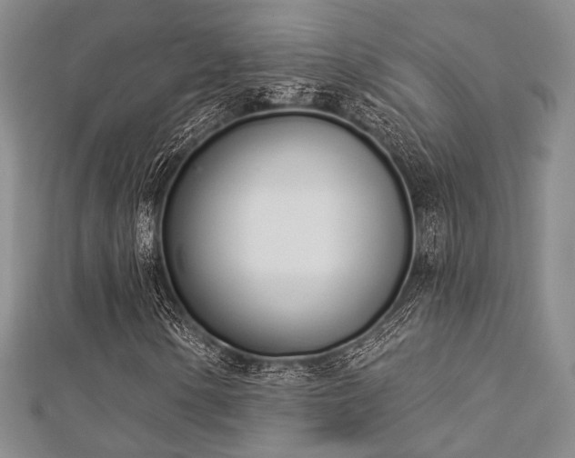X0000112721154200908201242