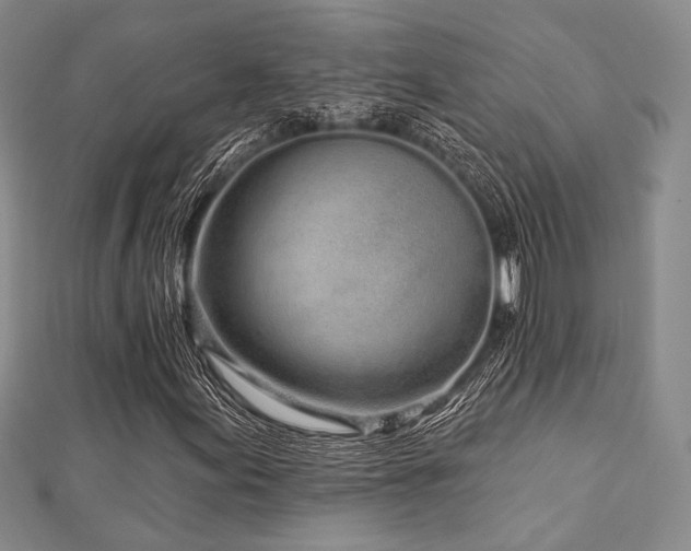 X0000112721155200908201242