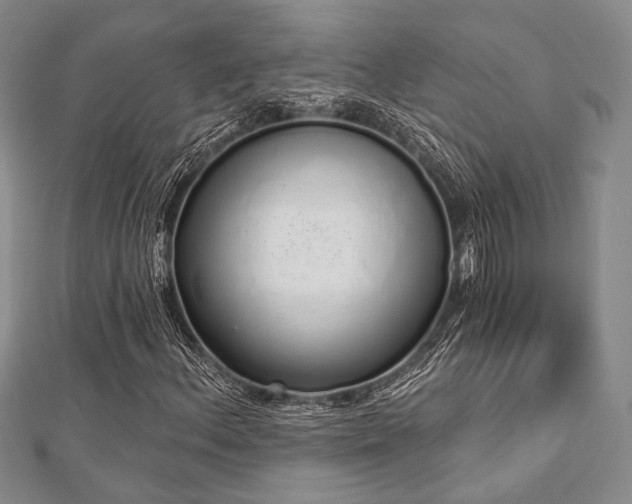 X0000112721156200908201242