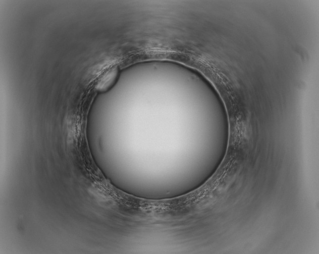 X0000112721157200908201242