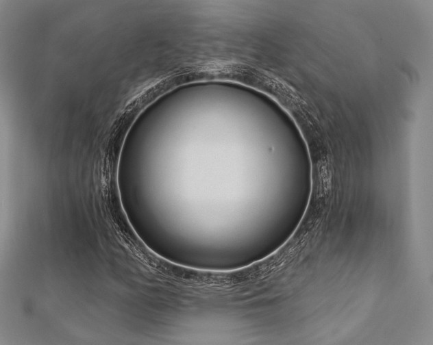 X0000112721158200908201242