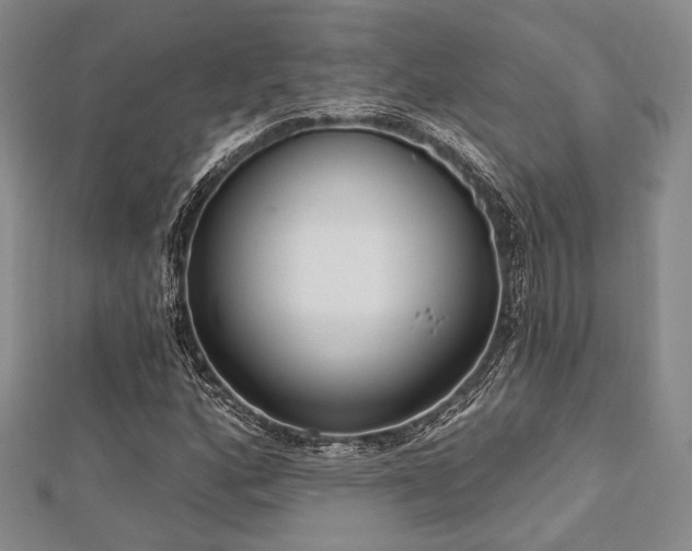 X0000112721160200908201242