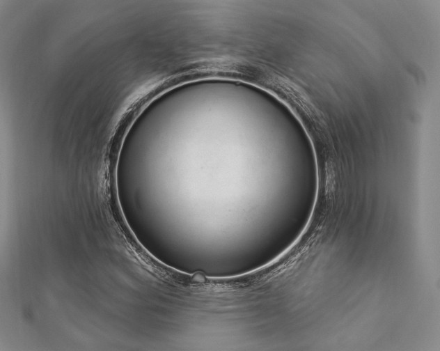 X0000112721164200908201242