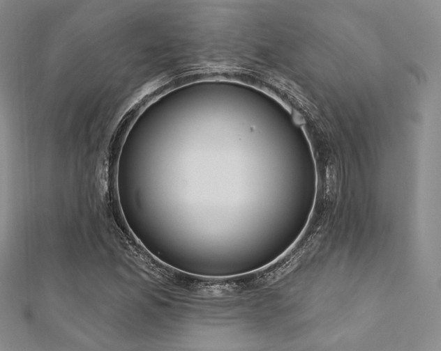 X0000112721165200908201242