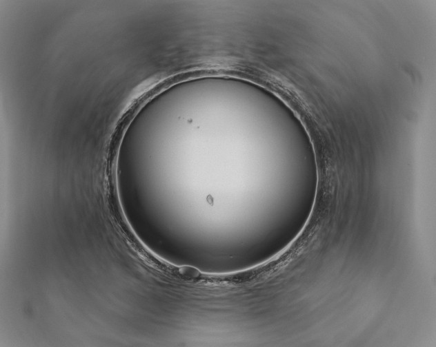 X0000112721168200908201242