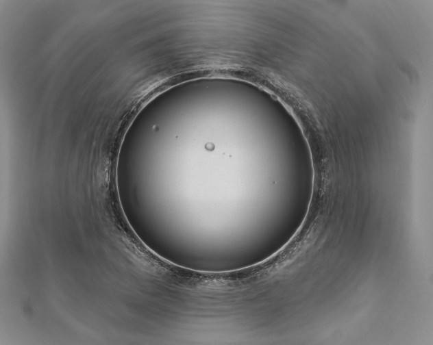 X0000112721169200908201242