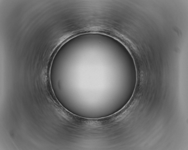 X0000112721170200908201242